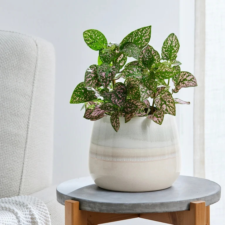 Better Homes & Gardens 10 inch Ceramic Emily Planter Pink | Walmart (US)