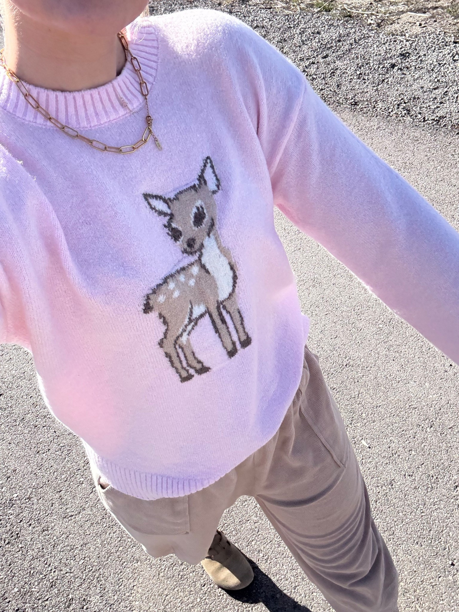 Pink fawn Walmart sweater!