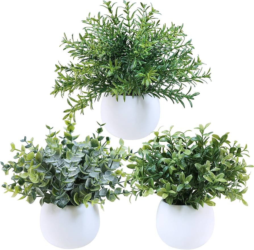 Winlyn | Amazon (US)