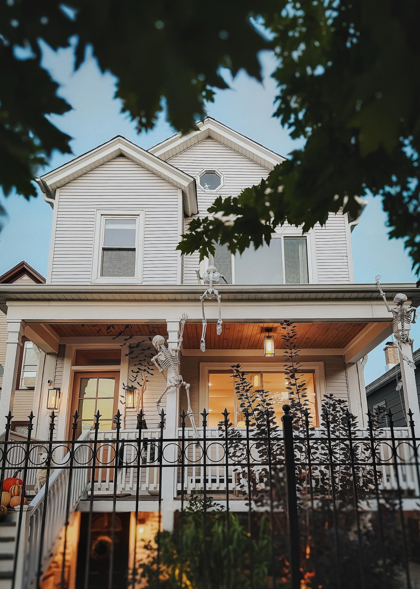 When it comes to holiday decor for every season, we lean toward, tried and true classics. For Halloween, skeletons, bats, pumpkins, and witches never go out of style.

#LTKSeasonal #LTKHalloween #LTKHome