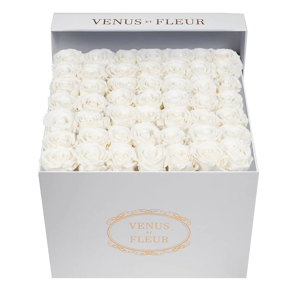 Large Square | Venus ET Fleur