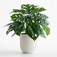 Potted Faux Monstera Plant 12" | Crate & Barrel | Crate & Barrel