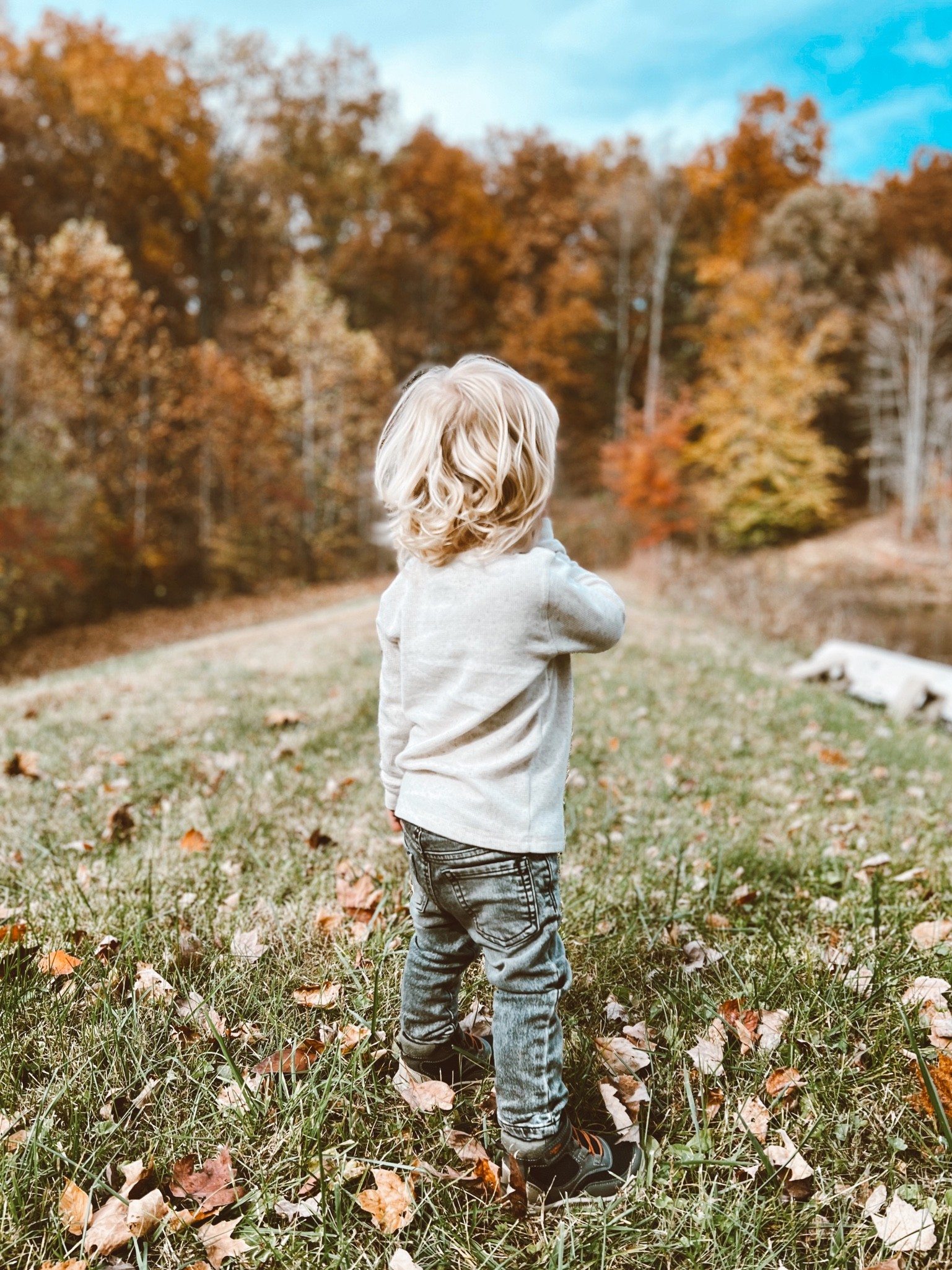 Toddler boy fashion Walmart affordable boy mom 

#LTKkids #LTKbaby #LTKfamily