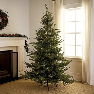 Prelit Norway Spruce Tree | Ballard Designs, Inc.