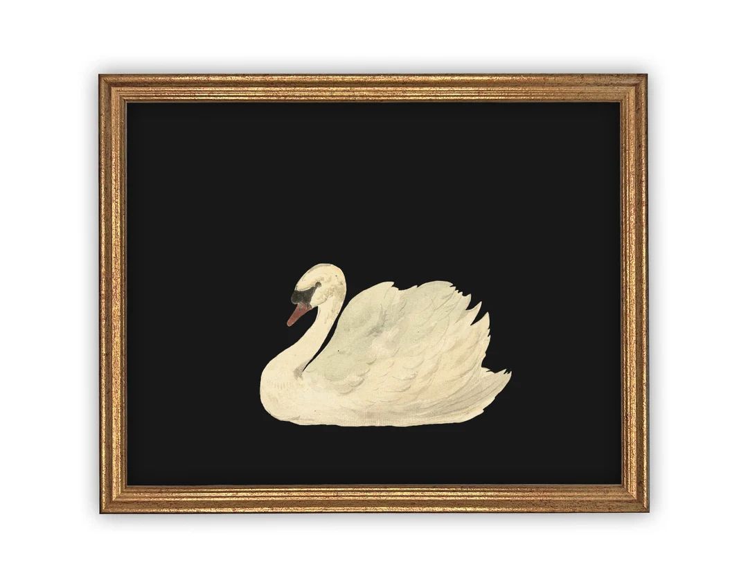 Vintage Framed Canvas Art  // Framed Vintage Print // Vintage Painting // Black Swan Art // Girls... | Etsy (US)