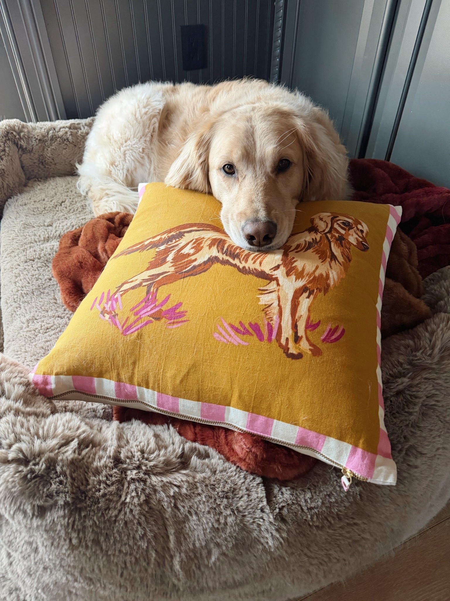 Miss Kollys pillow🐕🐾 love this line from Anthro! 

Dog mom / Anthropologie / golden retriever / Holley Gabrielle 

#LTKSeasonal #LTKKids