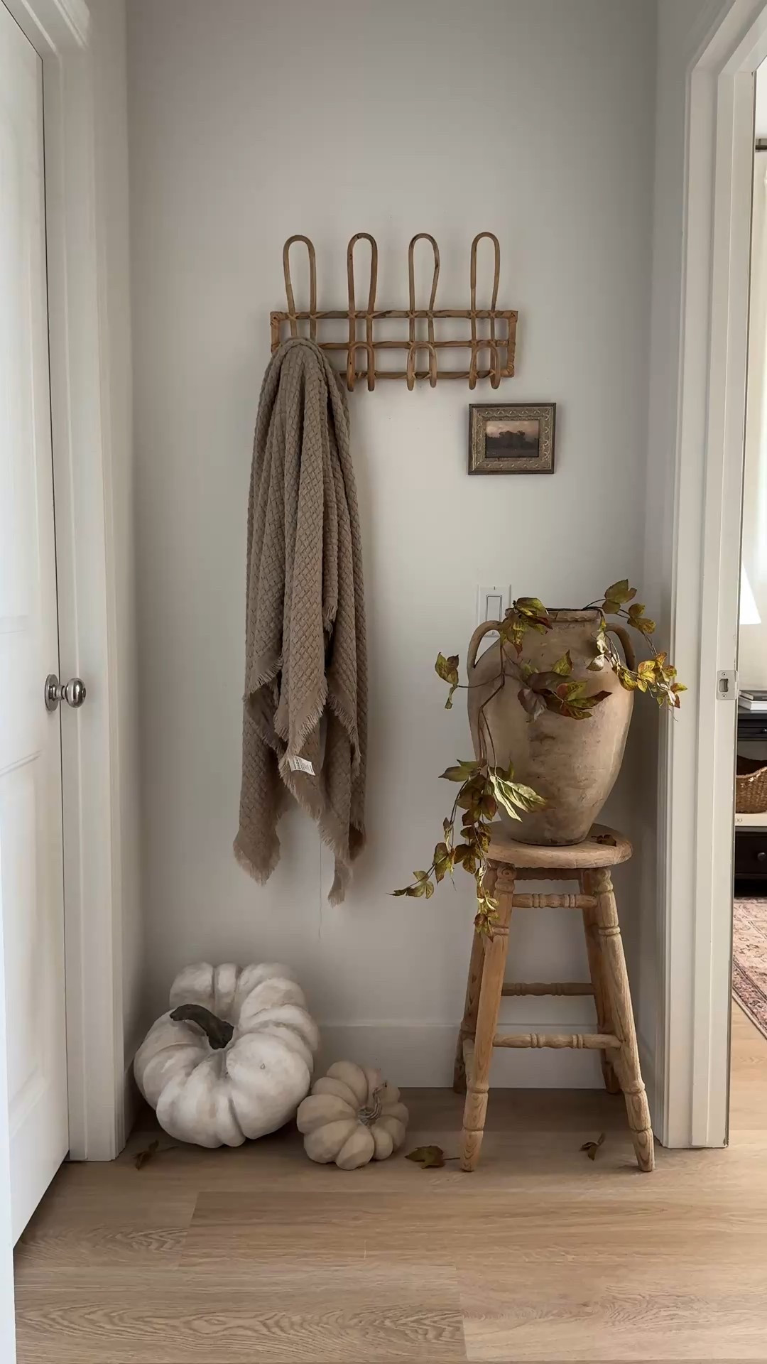 Pot is an Avanos Pot from Olive Ateliers that I purchased in person  