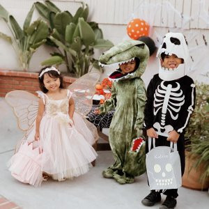 Pink Butterfly Fairy Halloween Costume | Pottery Barn Kids