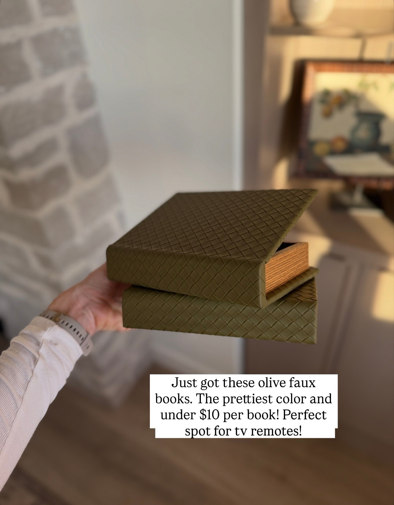 These faux books are so pretty! On sale PLUS 25% off in cart. Available in 3 sizes (these are the smaller size). Perfect spot to hide the tv remote!

#LTKFindsUnder50 #LTKSaleAlert #LTKHome