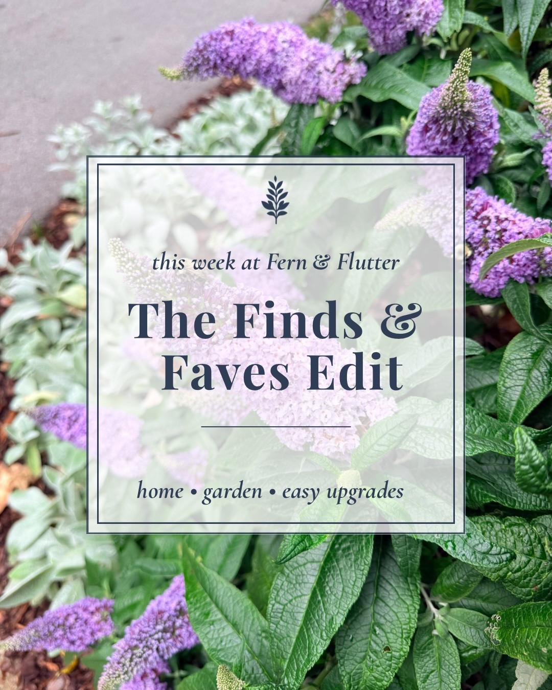 In case you missed it…here are a few of my favorite finds, projects, and most-loved posts from this week. 🤍

This week included:
🌿 Finally installing my woven blinds
🍽️ Kitchen upgrades that make life easier
🌱 Turning 5 catmint plants into 10
🦋 Our most asked-about butterfly bush

Which one was your favorite?

Shop everything through my LTK.

#LTKHome
