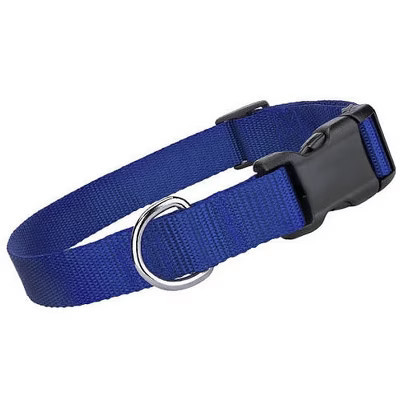 Parisian Pet 'Nylon Collar' for Dogs & Cats – Adjustable Blue Pet Collar, Comfortable Nylon Design  XS | Target
