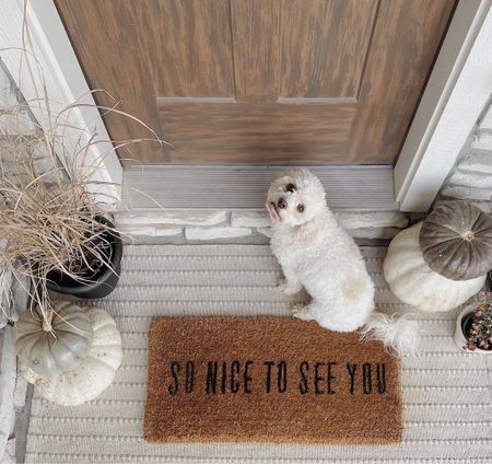 find the perfect spooky welcome mat for your fall front porch decor 🎃 fall front porch ideas | fall entry | fall porch decor

#LTKhome #LTKsalealert #LTKSeasonal