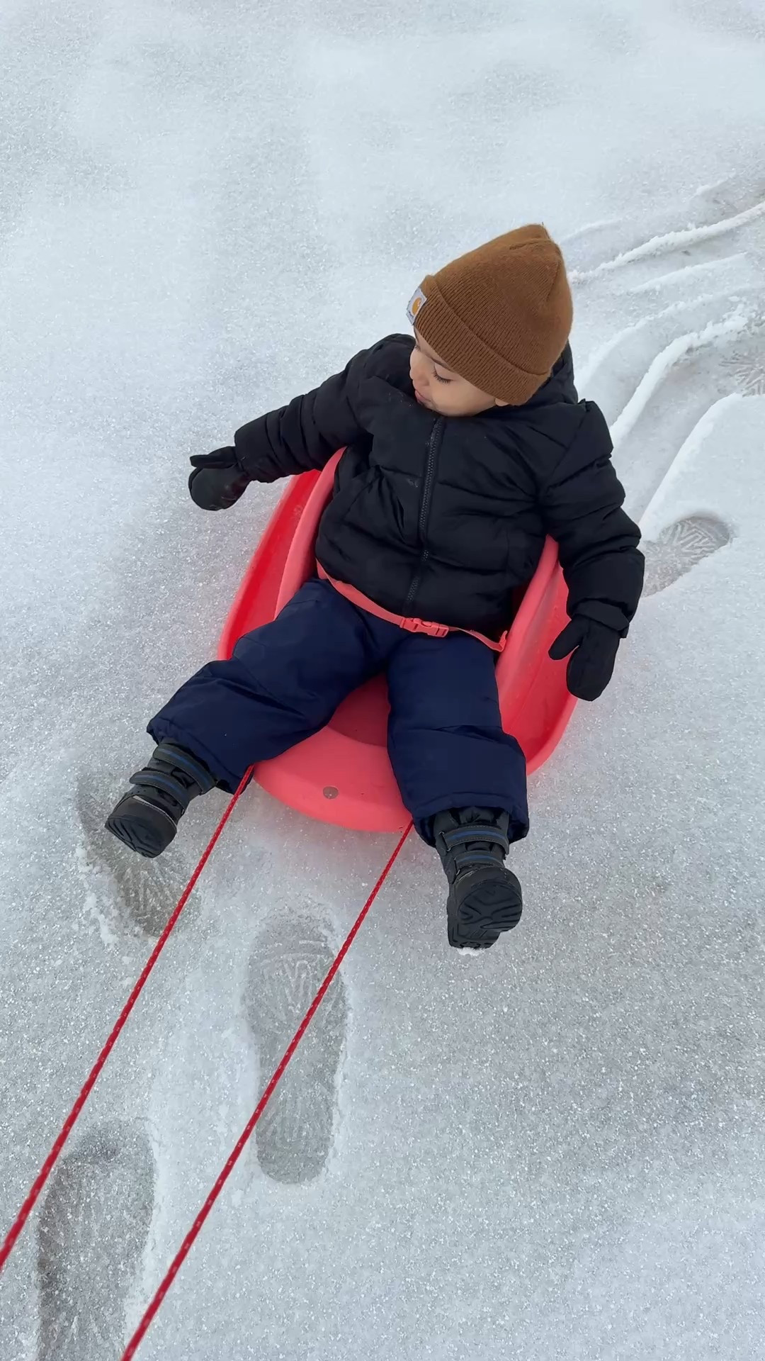 Best sled for toddlers! Would make a great Christmas gift too!

#LTKFindsUnder50 #LTKHoliday #LTKKids