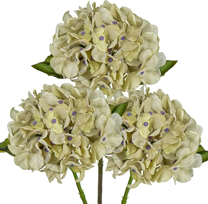 DILATATA Vintage 3 Pcs Dried Touch Burnt Hydrangeas Artificial Flowers 17" Tall Large Silk Hydran... | Amazon (US)