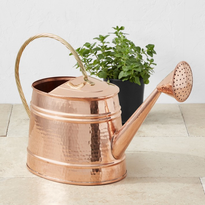 Williams Sonoma Copper Extra-Large Watering Can | Williams-Sonoma