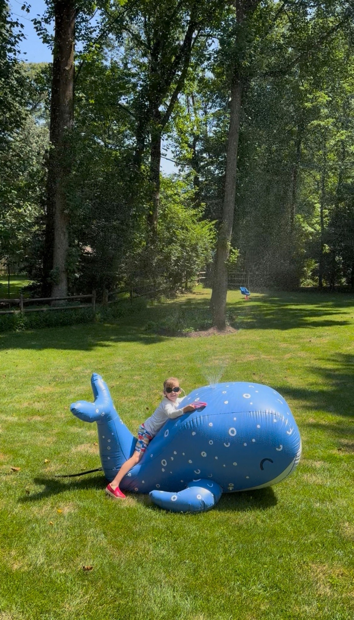 Sprinkler whale - 6 feet and on sale for $14 for target circle week 

Summer outdoor fun for kids!

#LTKKids #LTKSeasonal #LTKSaleAlert