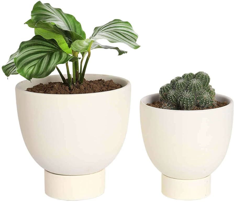 White Terracotta Self Watering Plant Pot - 2 PCS 6 Inch & 8 Inch Terra Cotta Plant Pot with Drain... | Amazon (US)