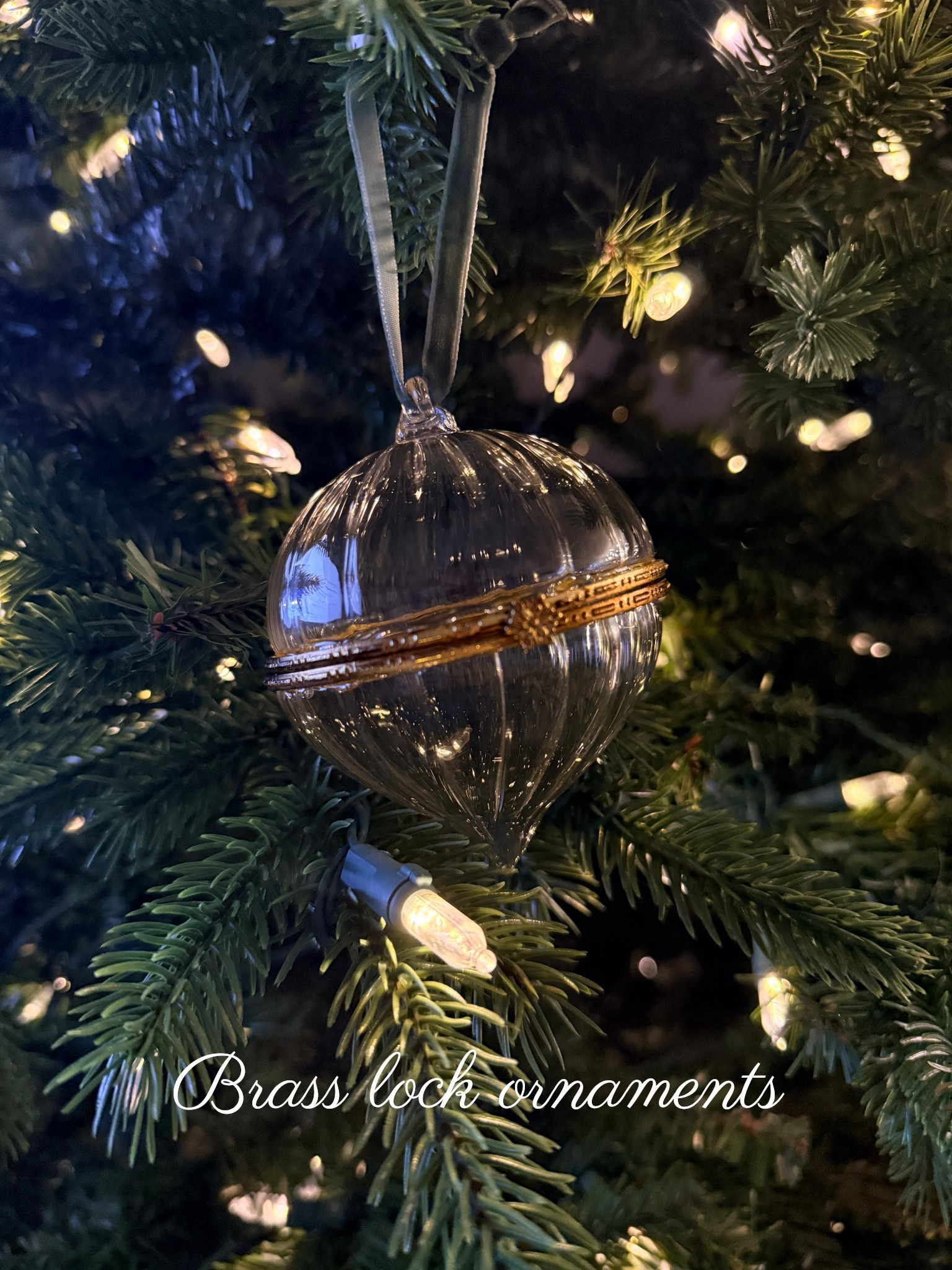 Beautiful glass locket ornaments 

#LTKGiftGuide #LTKSeasonal #LTKHoliday