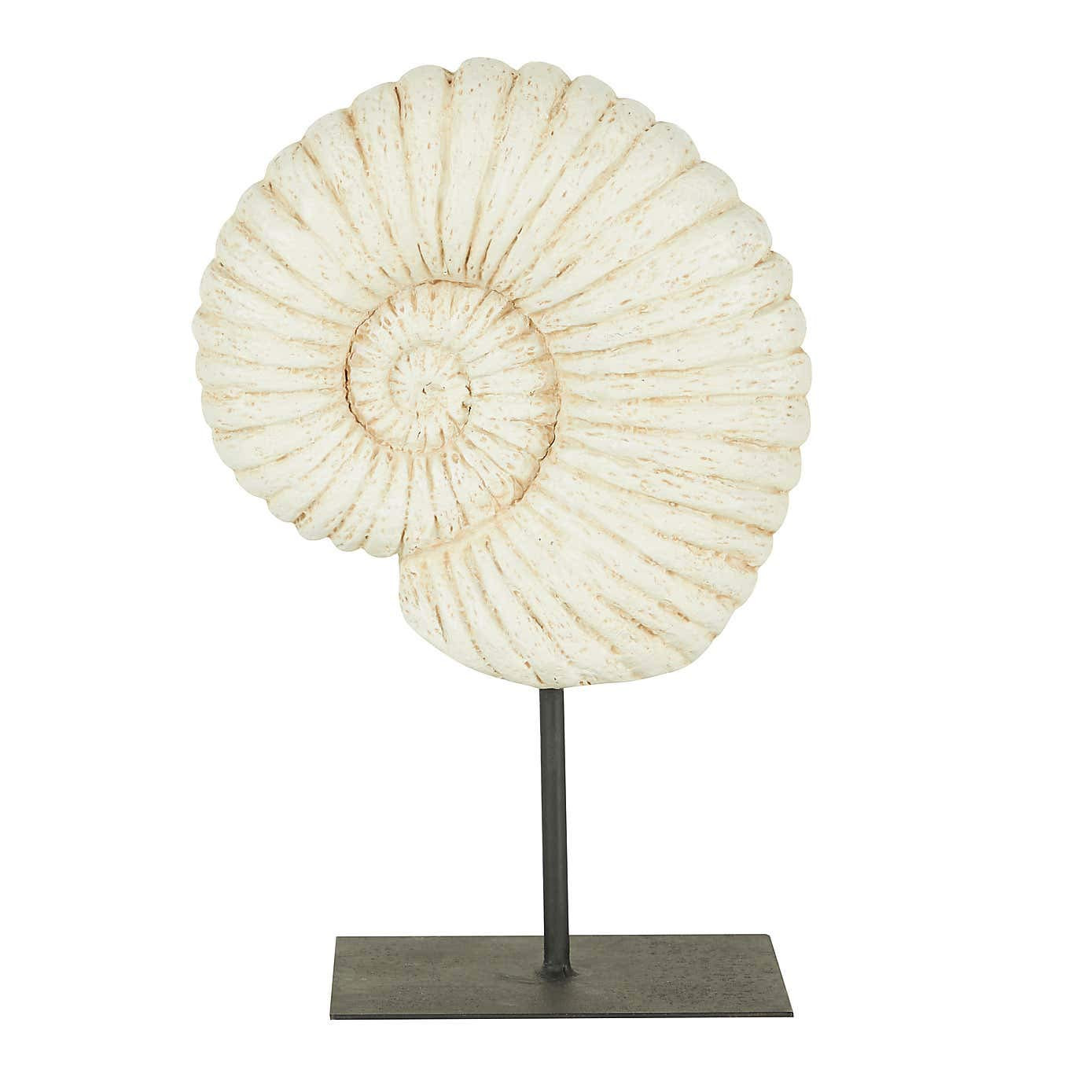 EEMKAY® New Stunning Resin Fossil Shell on Stand Sculpture Ornament Home Décor M-19 - Natural | Amazon (UK)