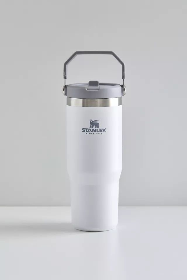 Stanley Flip Straw 30 oz Travel Tumbler | Urban Outfitters (US and RoW)
