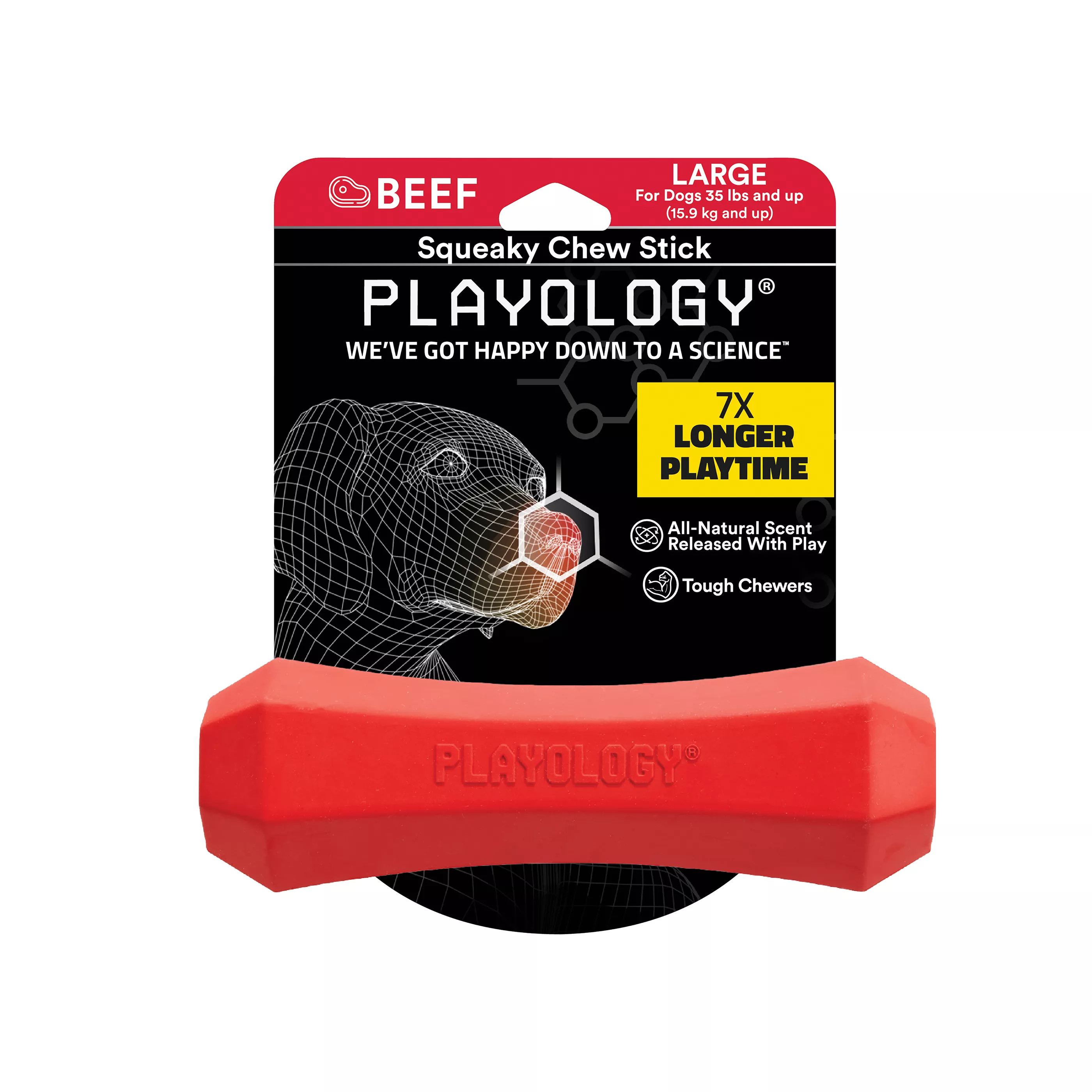 Playology® Squeaky Scented Chew Stick Dog Toy - Beef | PetSmart