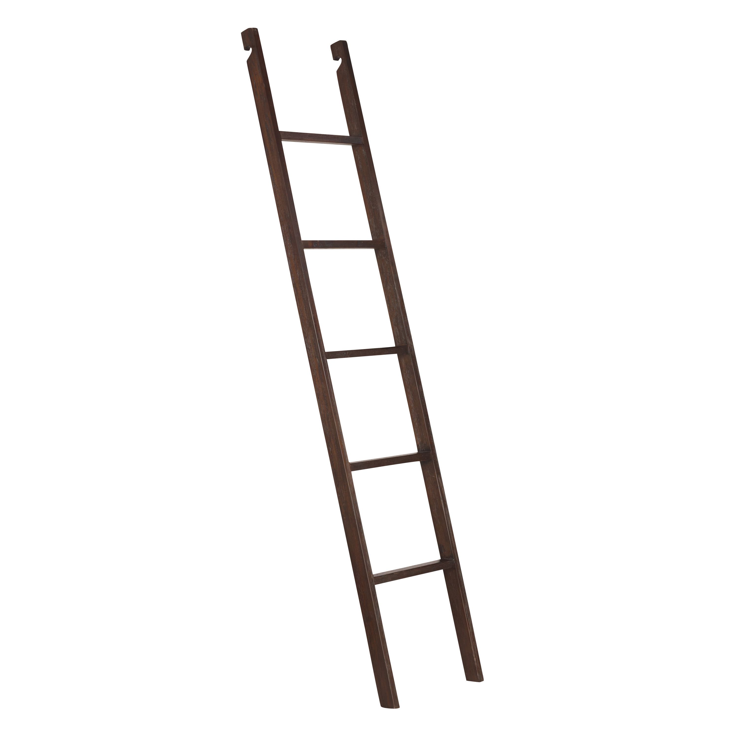 Augustus Roasted Cocoa Wood Bookshelf Ladder | World Market