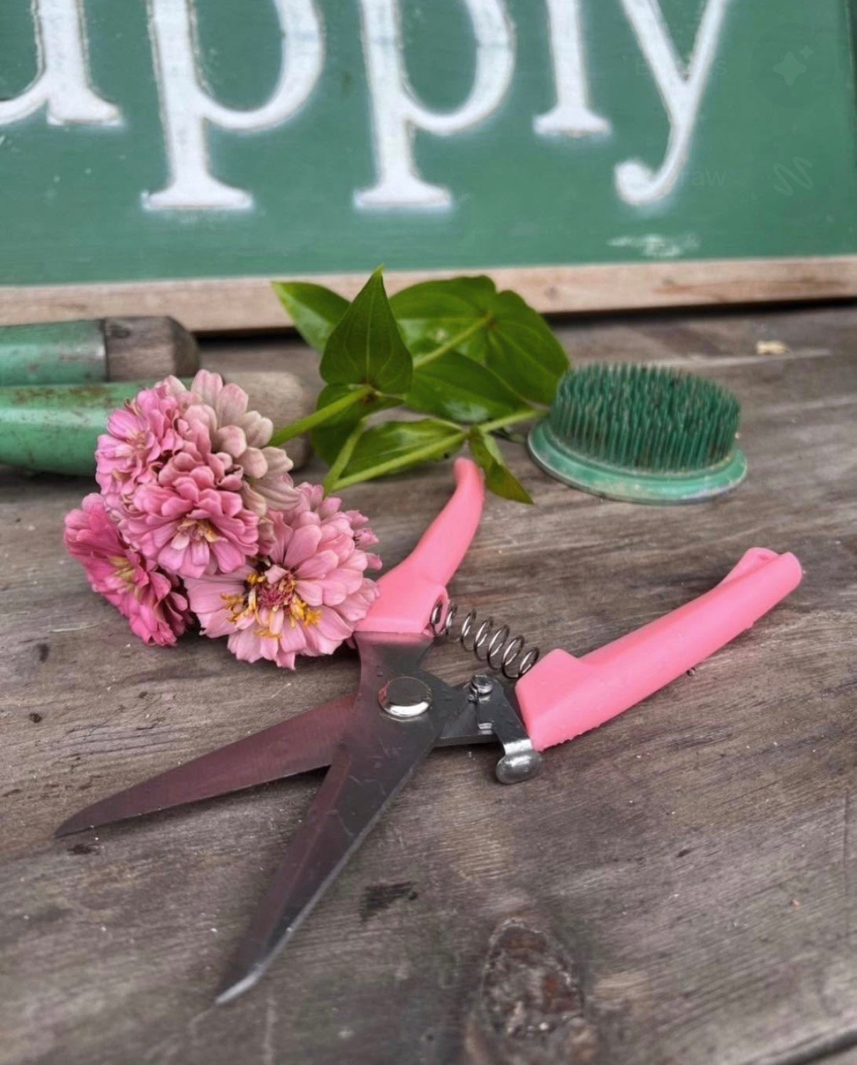 These snips have been in my garden basket nonstop lately 💖 They’re easy to use, come in a set of two, and add the prettiest little touch of pink to everything!

#LTKHome #LTKSaleAlert #LTKSeasonal