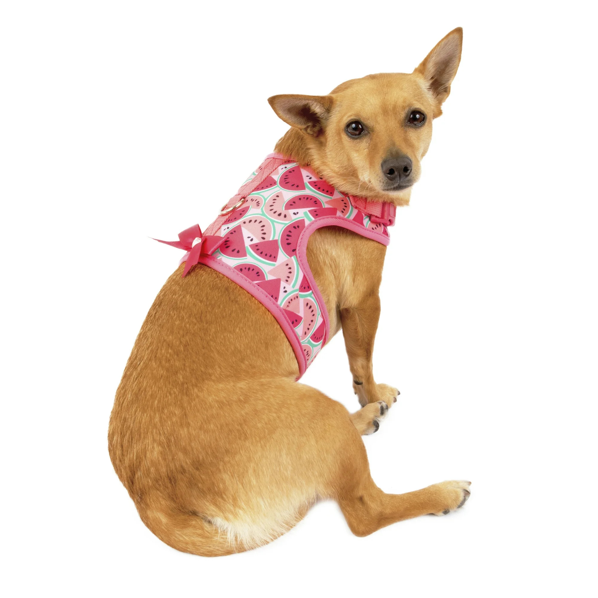 Vibrant Life Watermelon Print Dog Harness | Walmart (US)