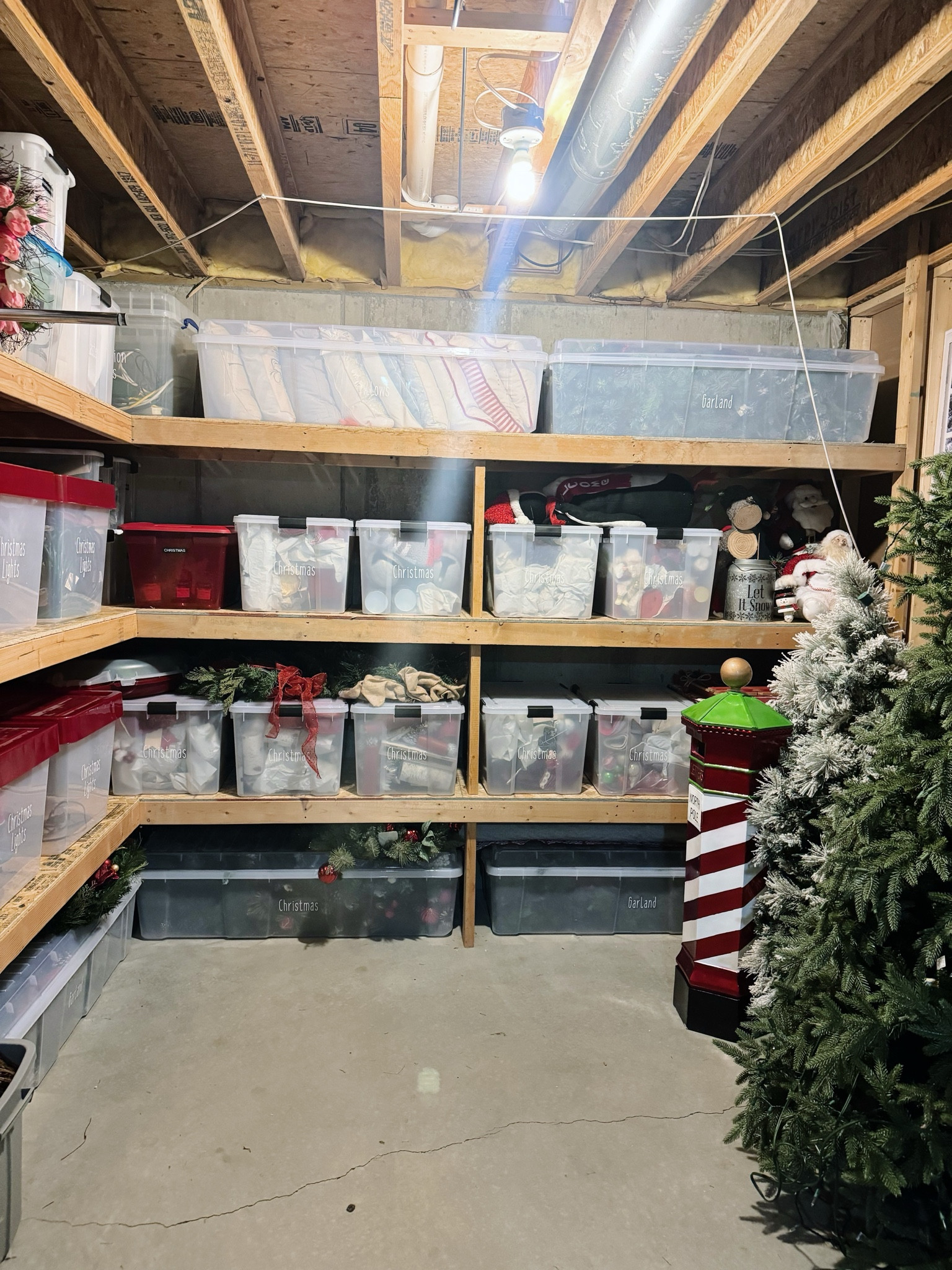 Holiday Basement Storage Organization 

#LTKhome #LTKfamily #LTKSeasonal