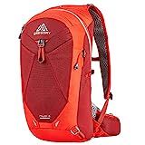 Gregory Mountain Products Miwok 18 Liter Men's Daypack , Vivid Red | Amazon (US)