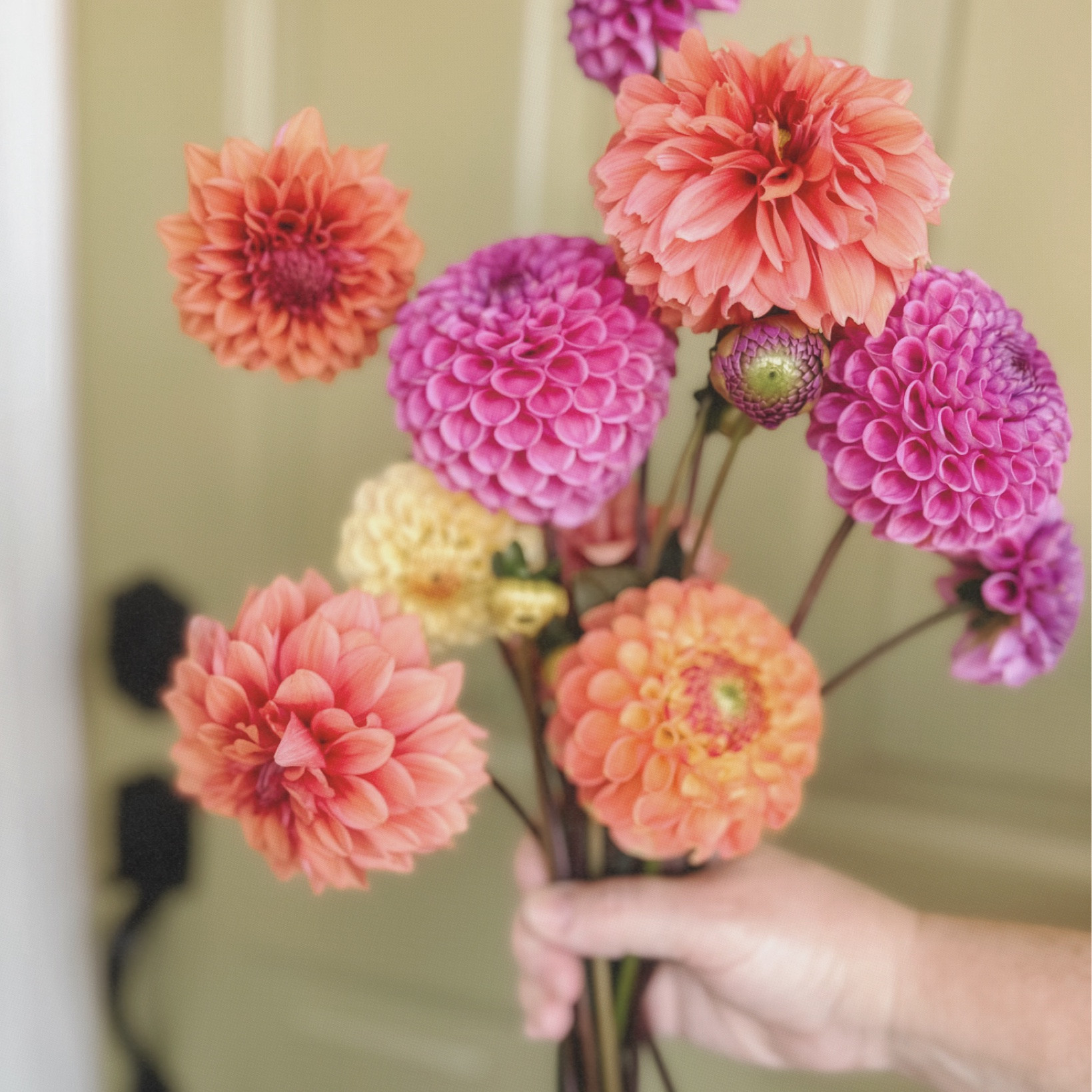 Gardening season is just around the corner! Time to start getting your gear ready 🌱

#LTKSpringSale #LTKhome #LTKfindsunder100