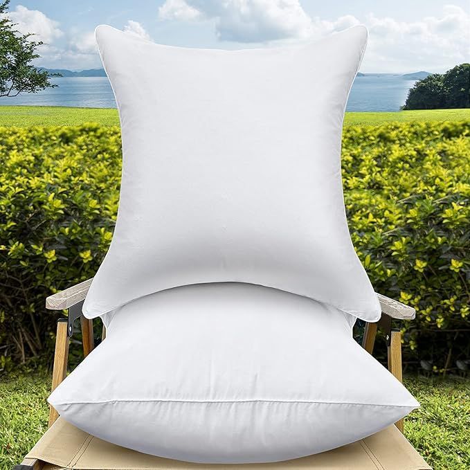 20 x 20 Pillow Inserts Set of 2 Outdoor Pillow Inserts Waterproof Square Premium Throw Pillow Ins... | Amazon (US)
