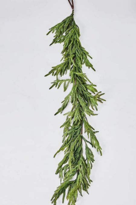 Norfolk pine garland 

#LTKhome #LTKSeasonal #LTKunder100