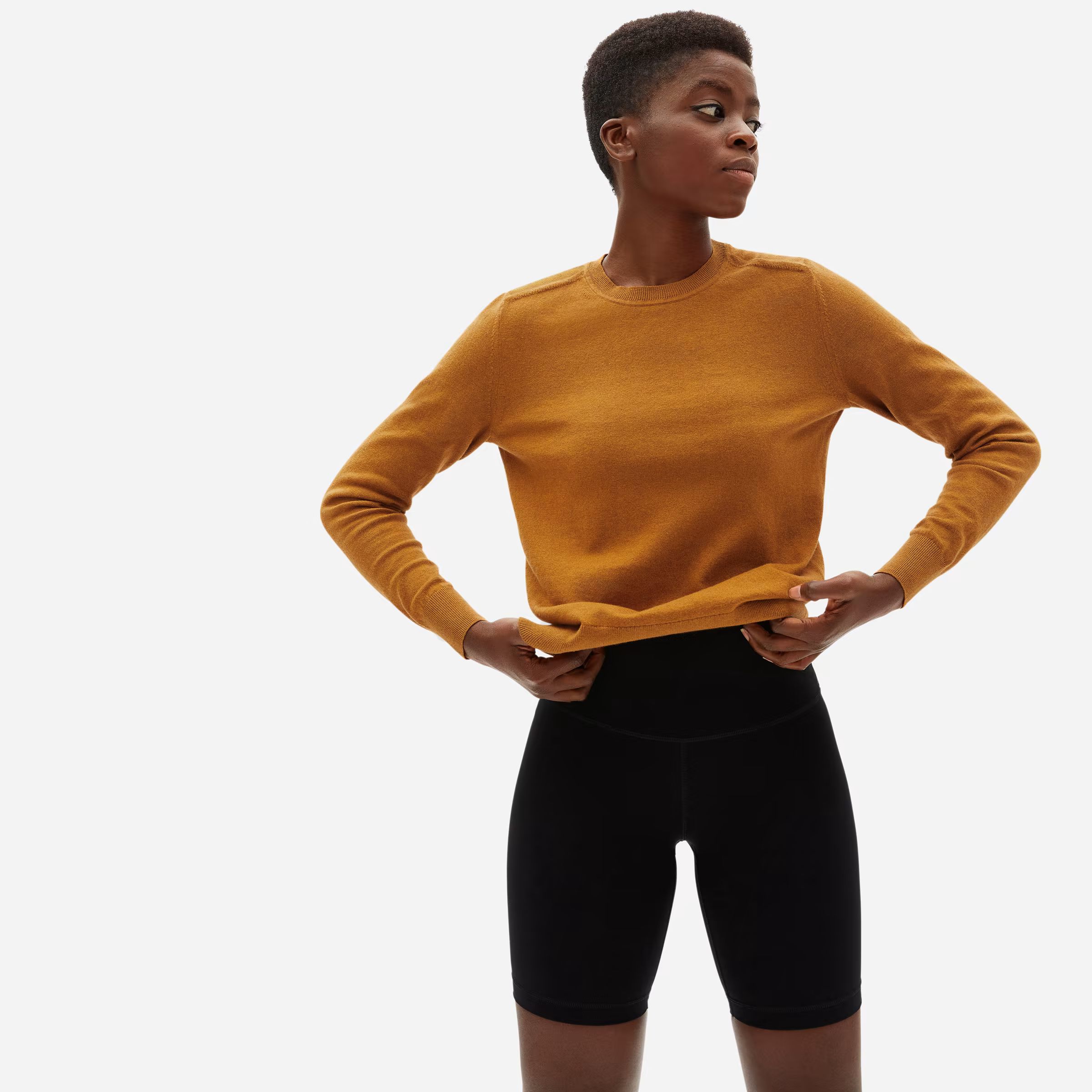 The Organic Cotton Crewneck Sweater | Everlane