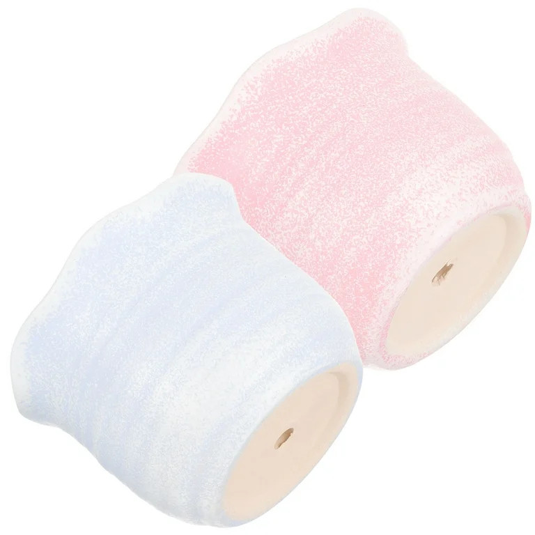 HEALEEP  2 Pcs Ceramic Flowerpot Beautiful Plant Portable Planter | Walmart (US)