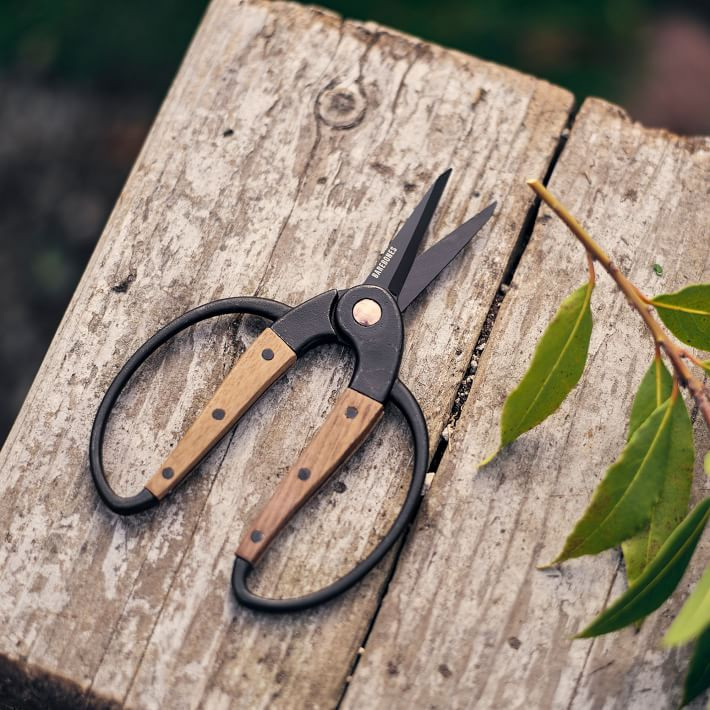 Garden Scissors | West Elm (US)