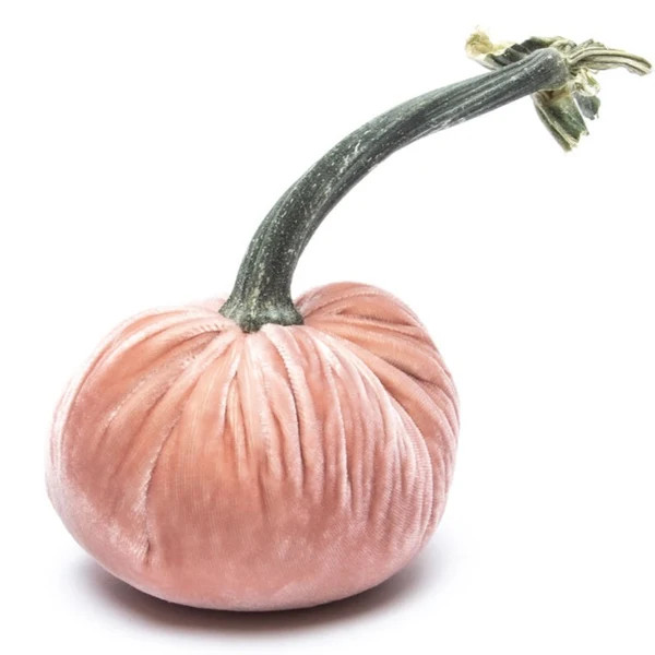 Vintage Silk Velvet Pumpkin | Hot Skwash