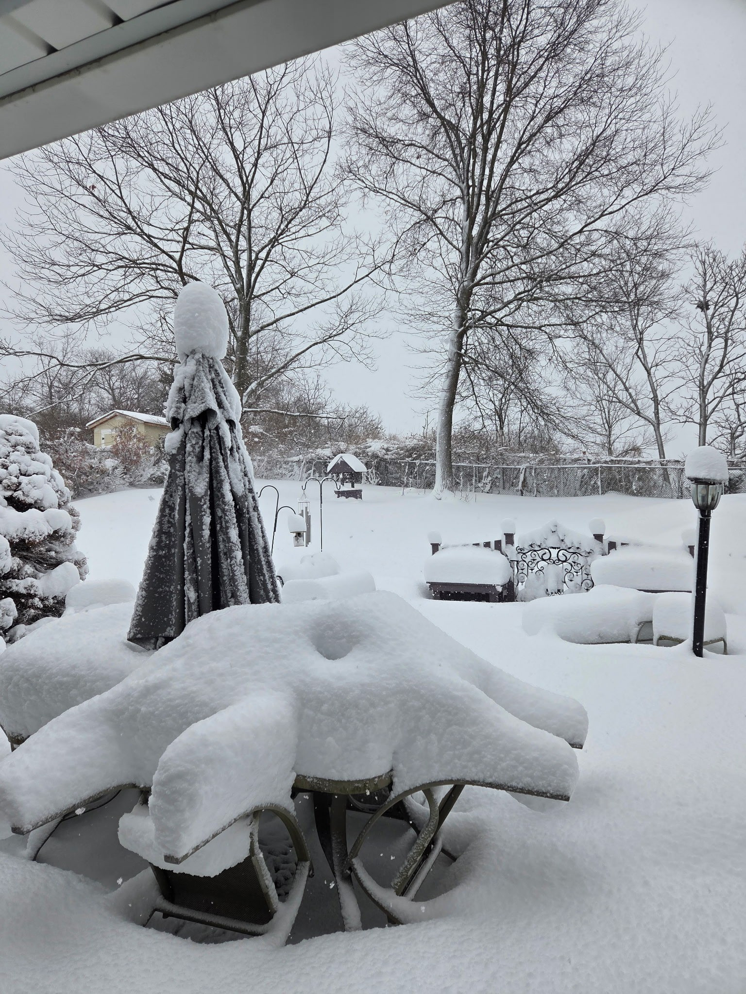 Unfortunately the beautiful snow did not help the landscaping in the yard photoed here they asked me to recommend some of the FAUX outdoor trees and flowers we use see attached can't wait to see her after photos

#LTKstorytime #LTKSeasonal #LTKHome