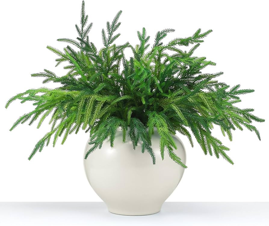 Jutom 6 Pcs Christmas Norfolk Pine Branches, Norfolk Pine Artificial Christmas Branches DIY Craft... | Amazon (US)