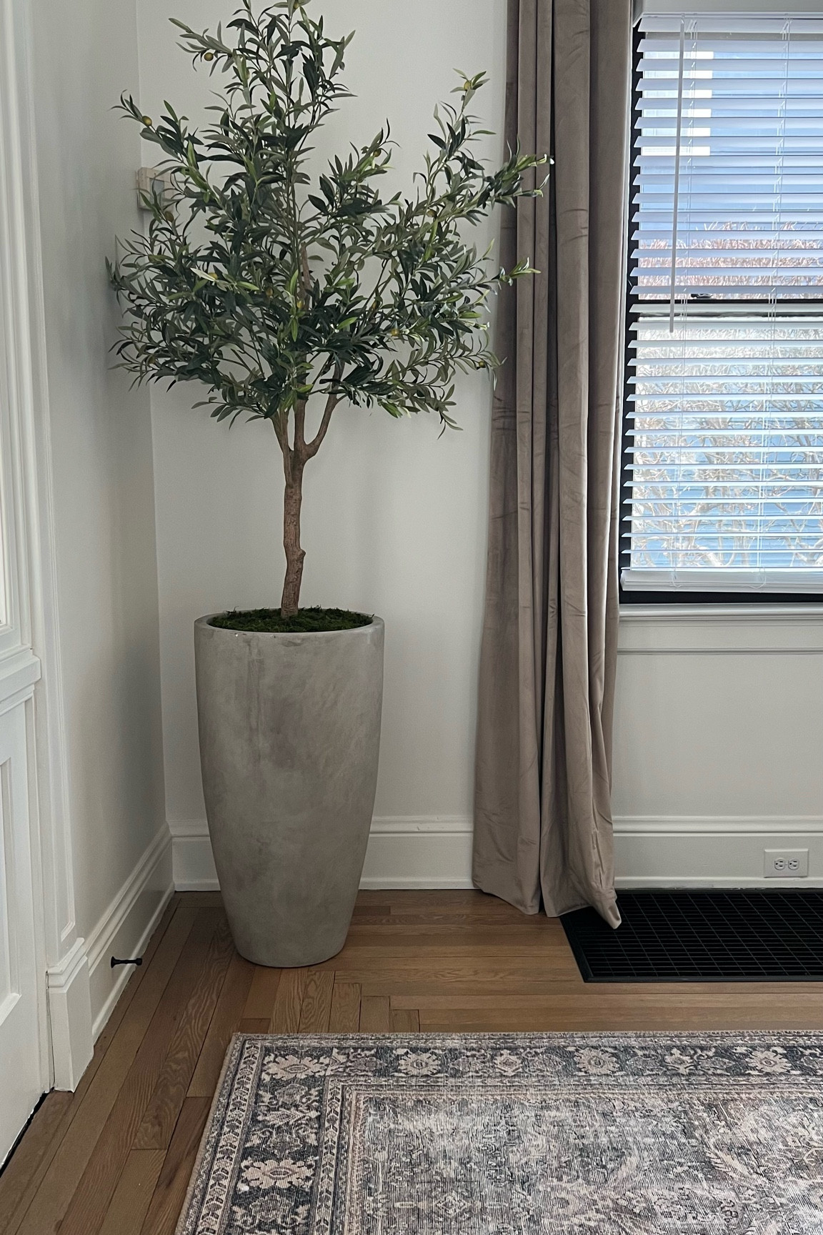 DIY RH-inspired grand potted olive tree! Luxe looks for less!

#LTKFind #LTKSale #LTKhome