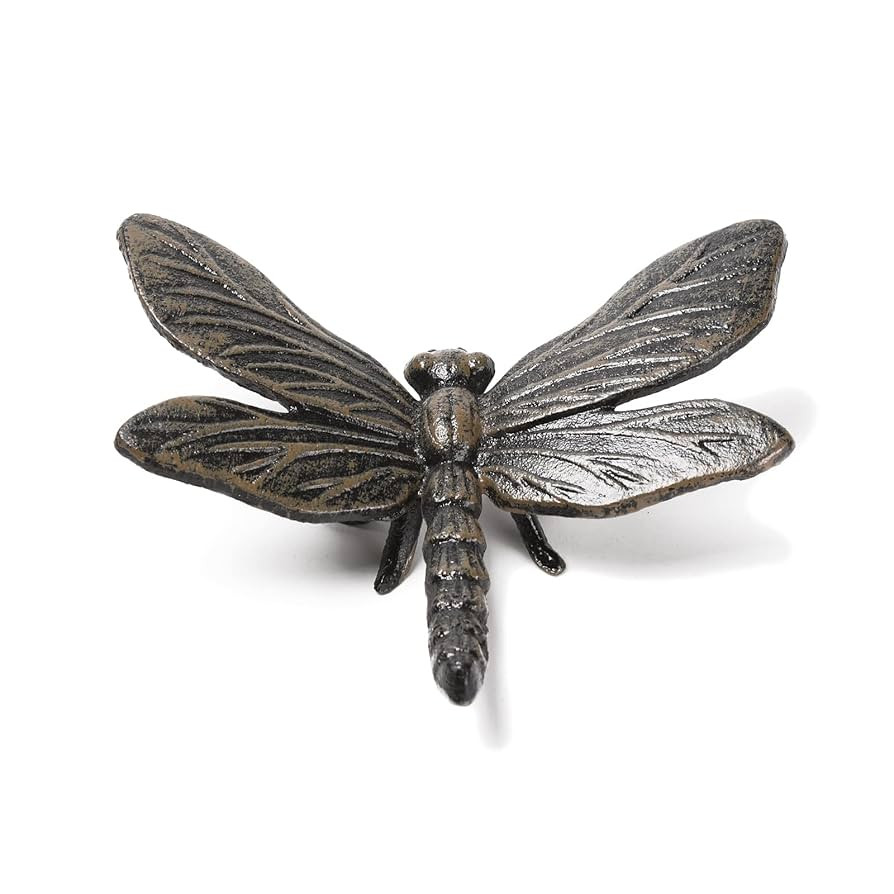 BRASSTAR Cast Iron Dragonfly Statue Delicate Modelling Interior and Exterior Decoration Suitable ... | Amazon (US)