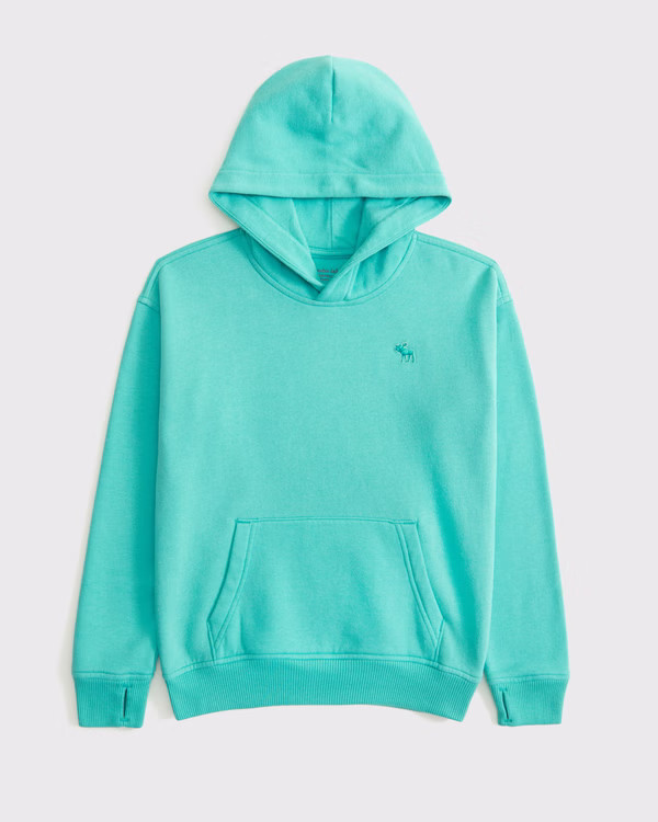 essential icon hoodie | Abercrombie & Fitch (US)