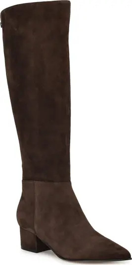 Morgin Pointed Toe Knee High Boot (Women) | Nordstrom