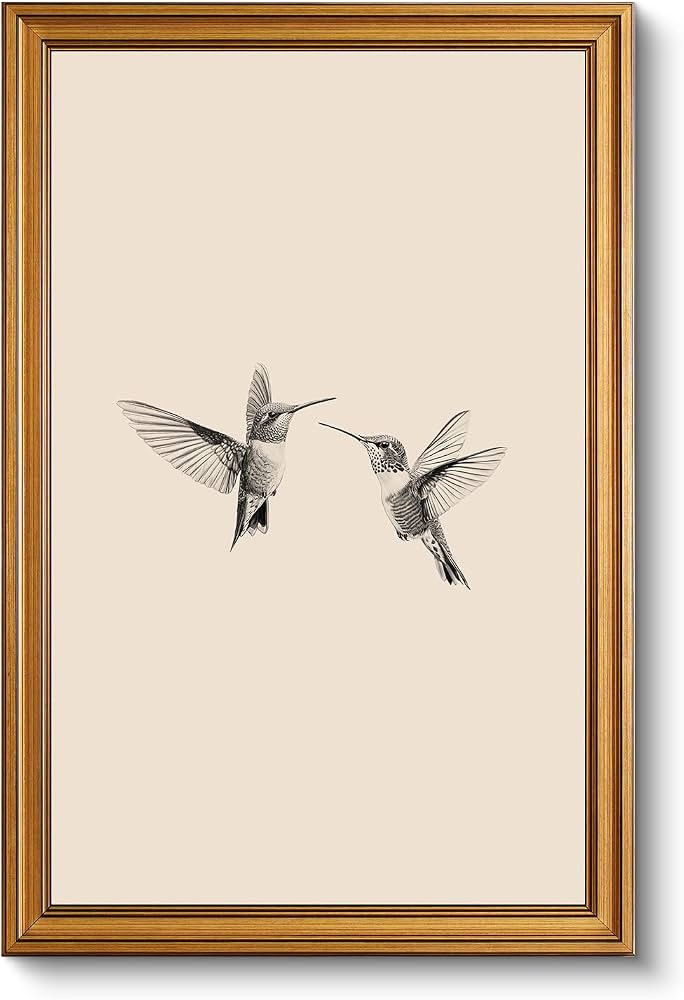 InSimSea Gold Framed Canvas Prints Wall Art, Vintage Birds Decor, Two Hummingbirds Sketch Paintin... | Amazon (US)