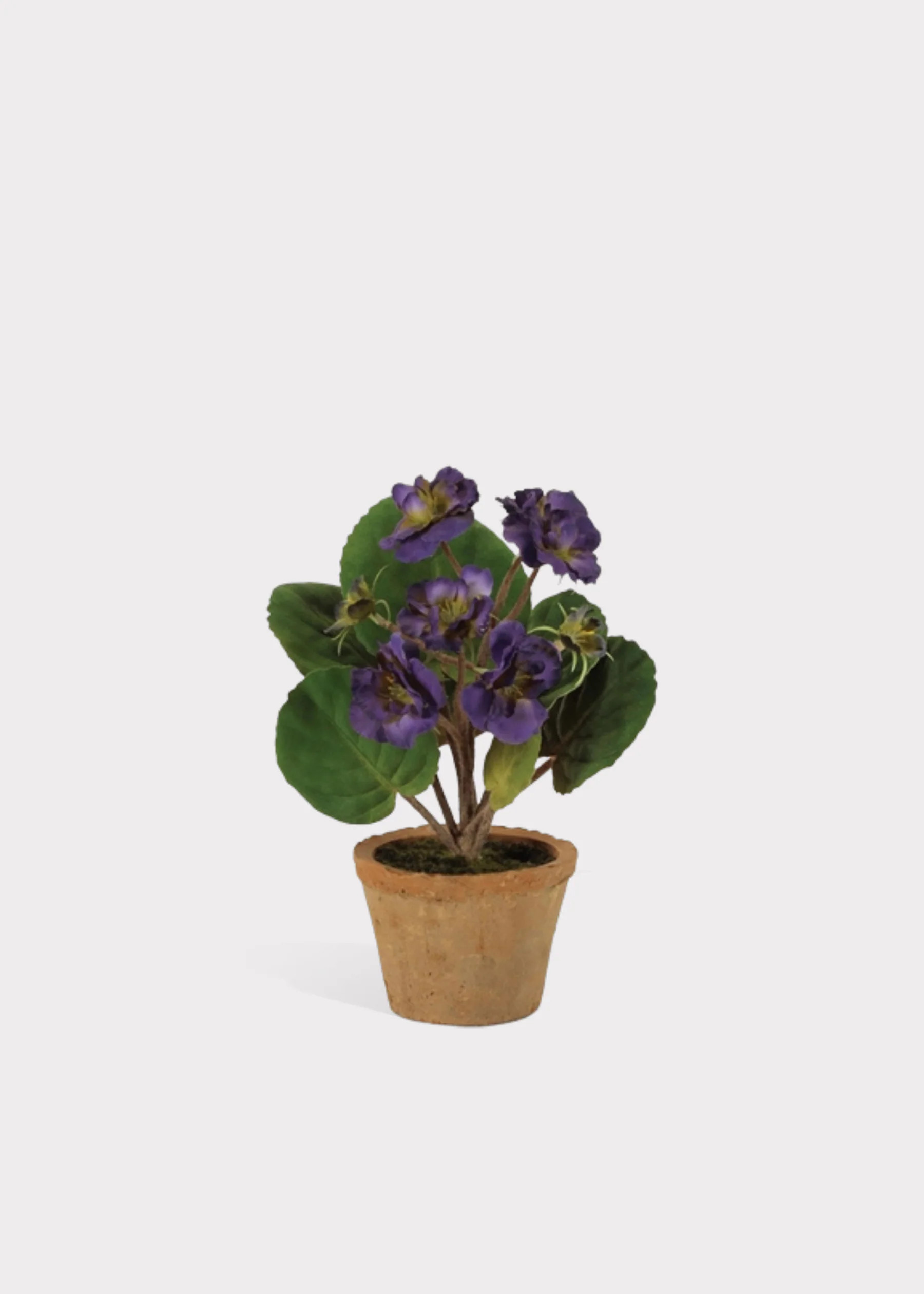 Purple African Violet in Pot | Artificial Potted Flowers | Afloral | Afloral