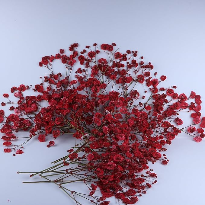 50 Pcs Red Baby's Breath Real Dried Pressed Flowers.Vacuum-Packed Mini Dried Baby's Breath Flowe ... | Amazon (US)