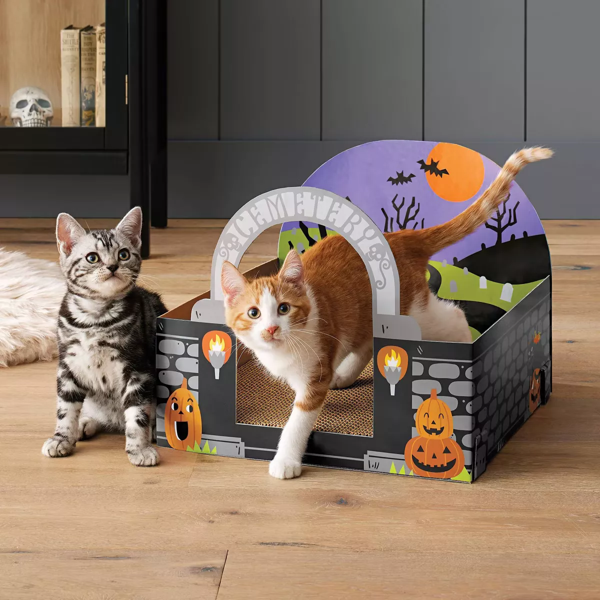 Target halloween cat sales scratcher