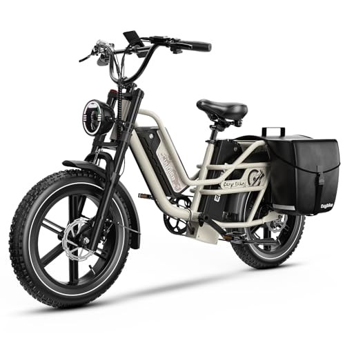 Dual Battery Electric Bike for Adults, 160 Miles Long Range Cargo Ebike with 48V 60AH Removable 2... | Amazon (US)
