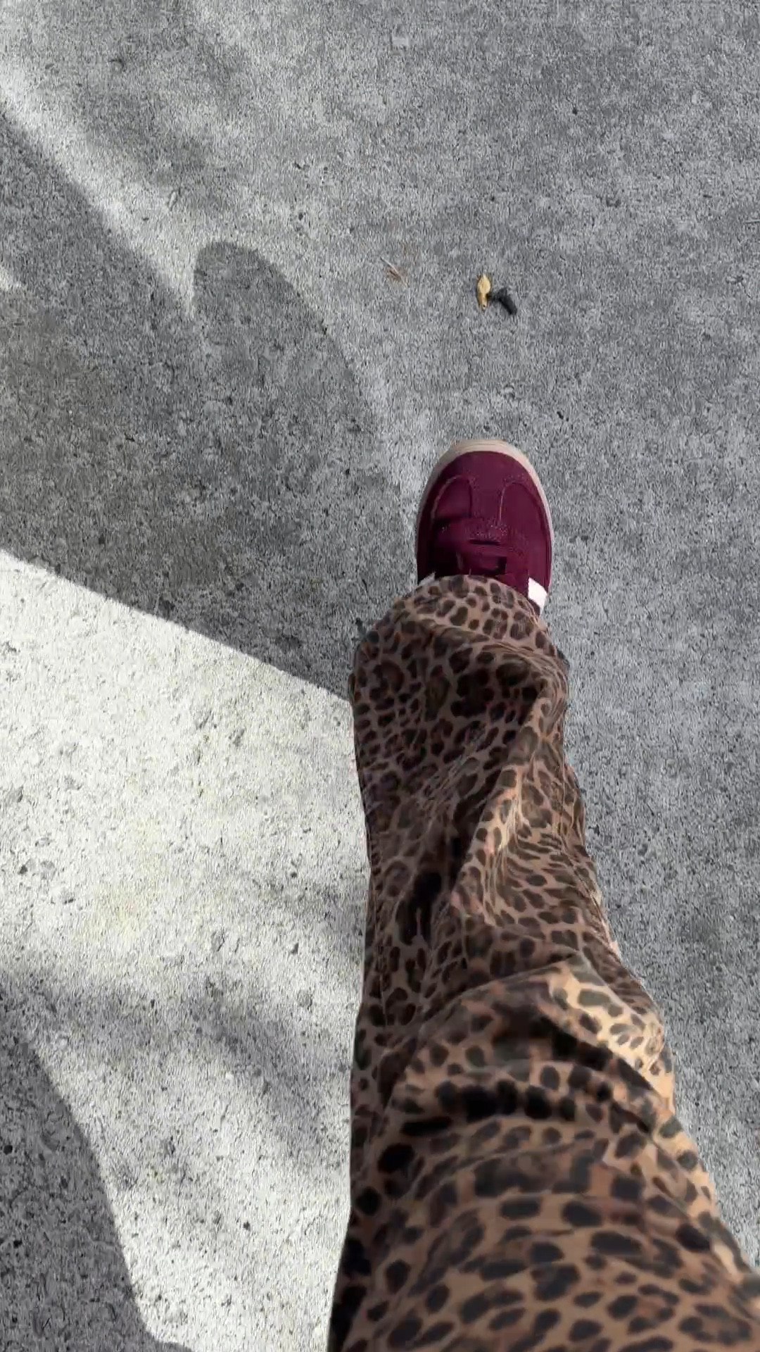 Leopard pants go with everything 

#LTKMidsize #LTKStyleTip