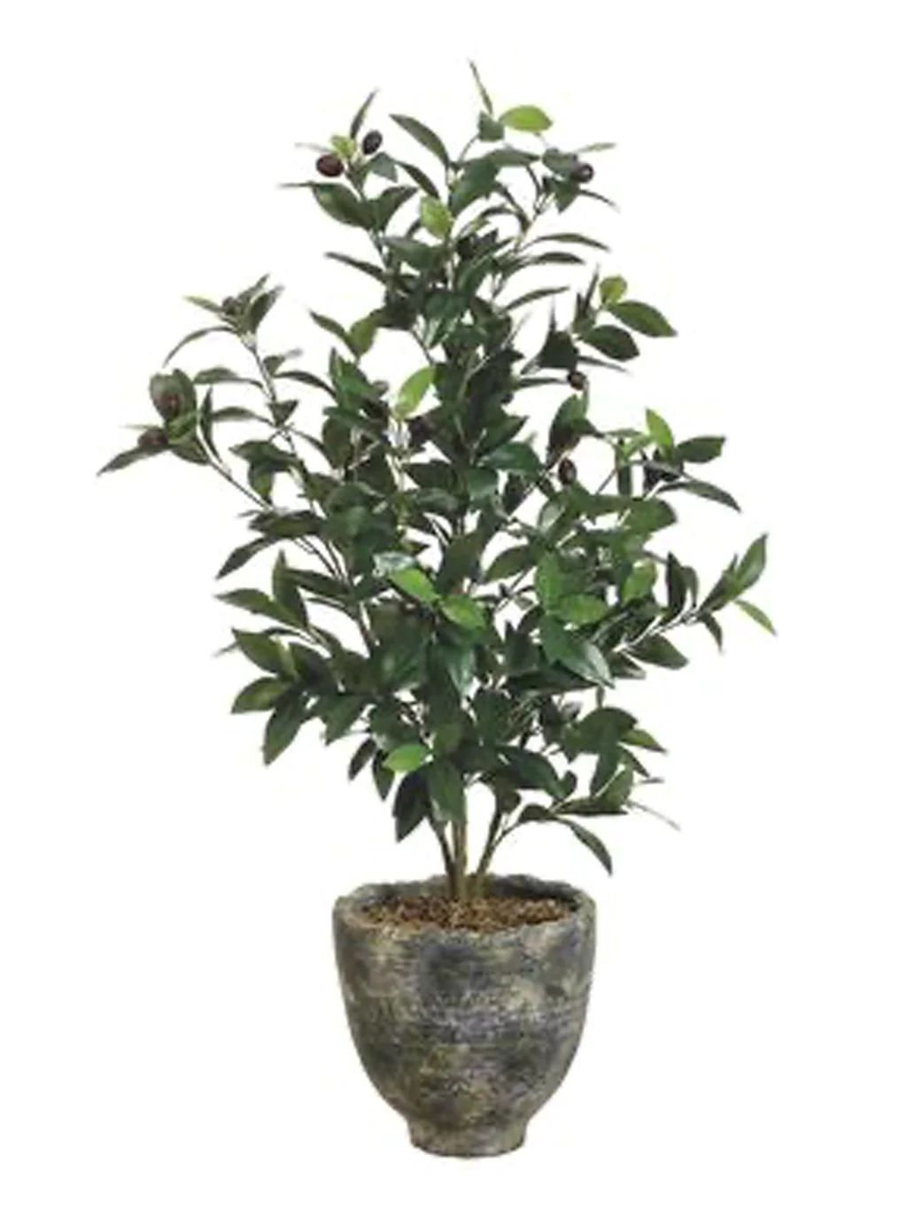 Potted 36" Faux Olive Tree | House of Jade Home